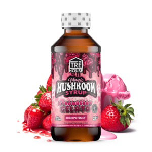 Strawberry Gelato Syrup BestBrand GoodPrice GetNearMe LowestCoupon DiscountStore Shoponline Where to Buy StrongestBrand MushroomSyrup ShopBinoid