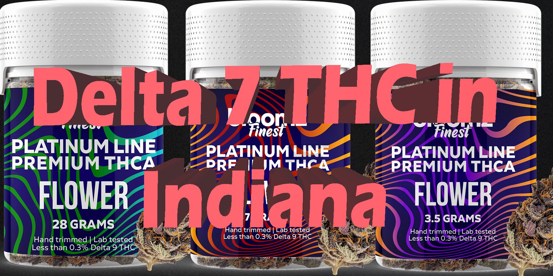 Delta 7 THC in Indiana Best Delta 7 THC HowToGetNearMe BestPlace LowestPrice Coupon Discount For Smoking Best Brand D9 THCA Indoor Good Binoid