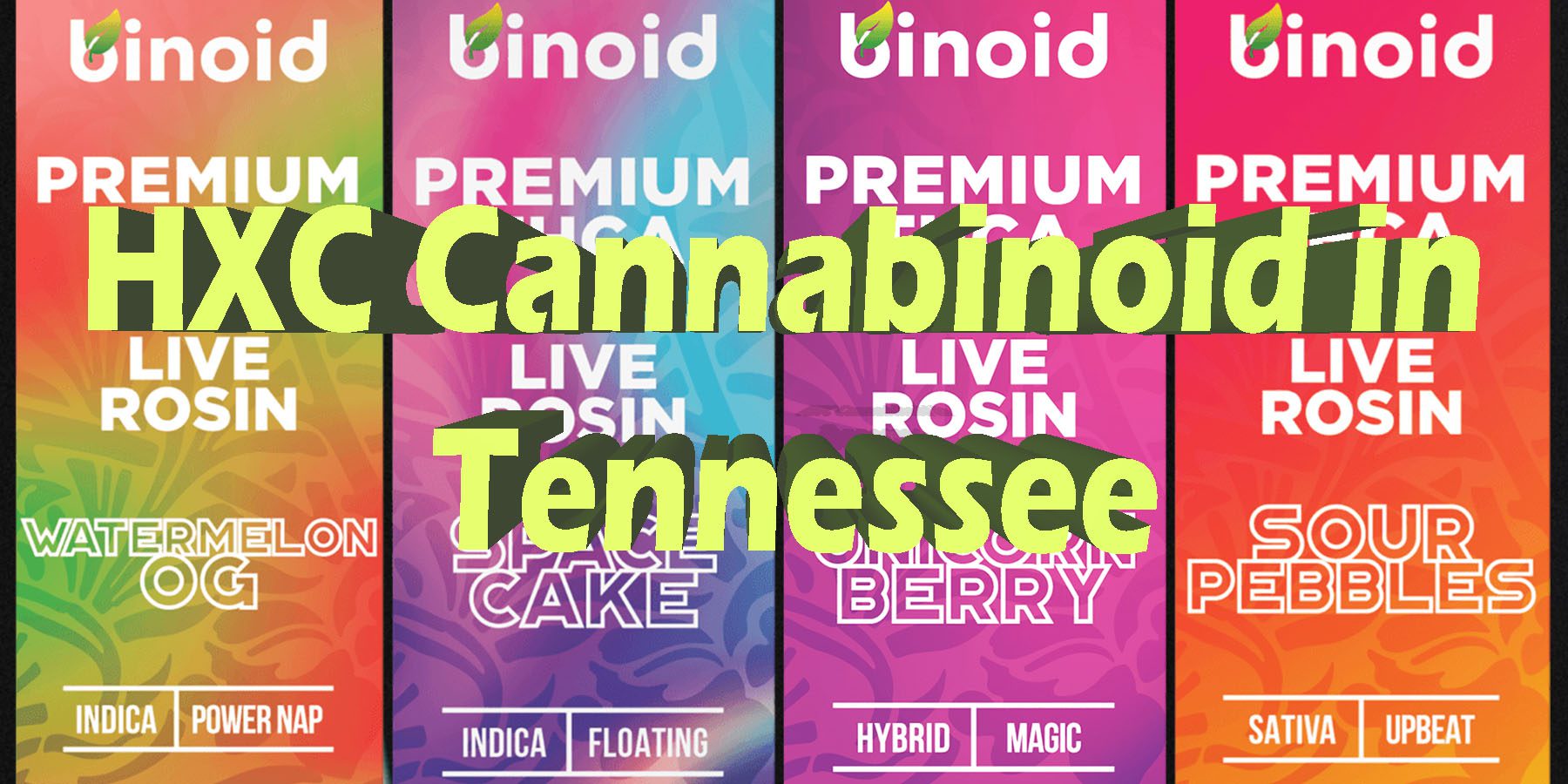 HXC Cannabinoid in Tennessee HowToGetNearMe BestPlace LowestPrice Coupon Discount For Smoking Best Brand D9 THCA Indoor Good Binoid